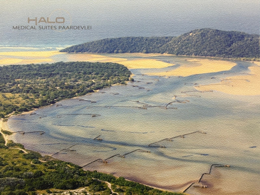 Commercial Property for Sale in Paardevlei Western Cape